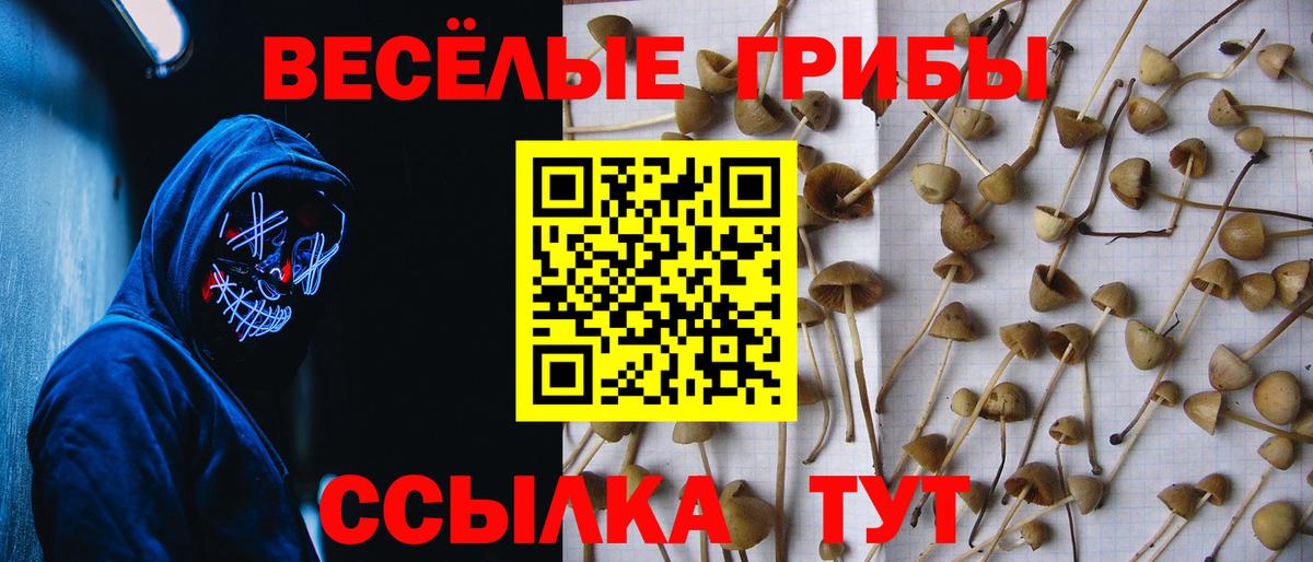 Галлюциногенные грибы ЛСД  Вход с VPN  Владивосток 